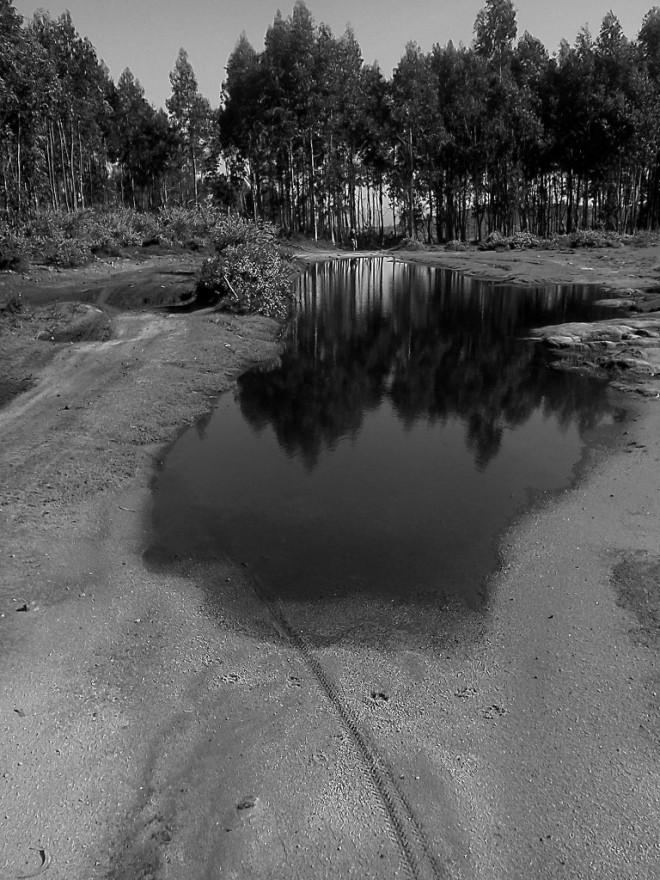 20130418-Mobile1-Puddle